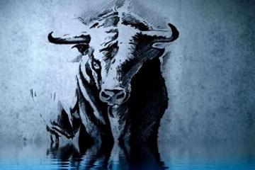 alefox